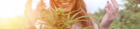 Żelki Konopne Topical z olejek olej Pure CBD relax na stres Uspokajające
